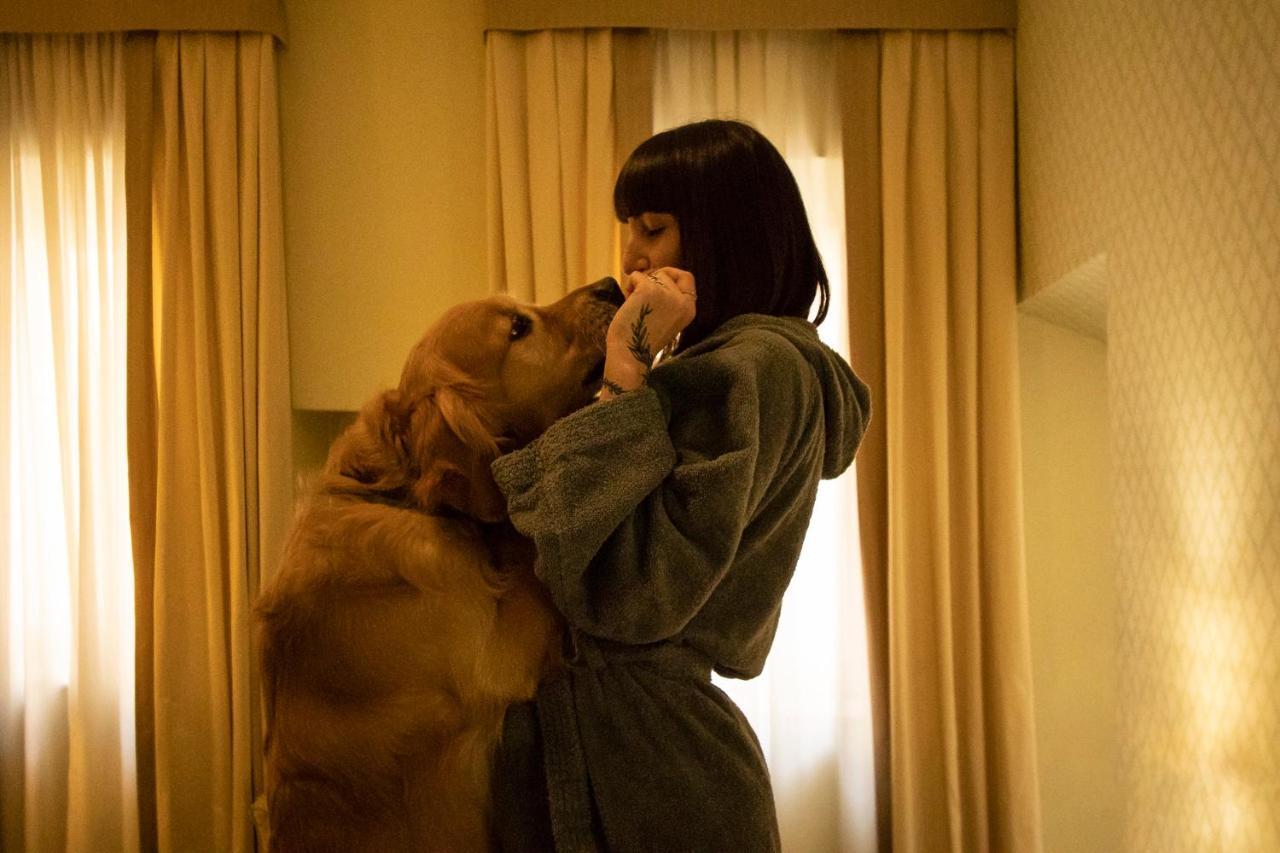 Hotel La Locanda ヴォルテッラ エクステリア 写真